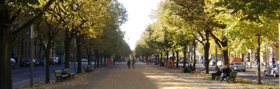 Unter den Linden